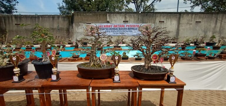 Pakutandang Cup. Ratusan Peserta Ikuti Kontes Ayam Pelung dan Bonsai